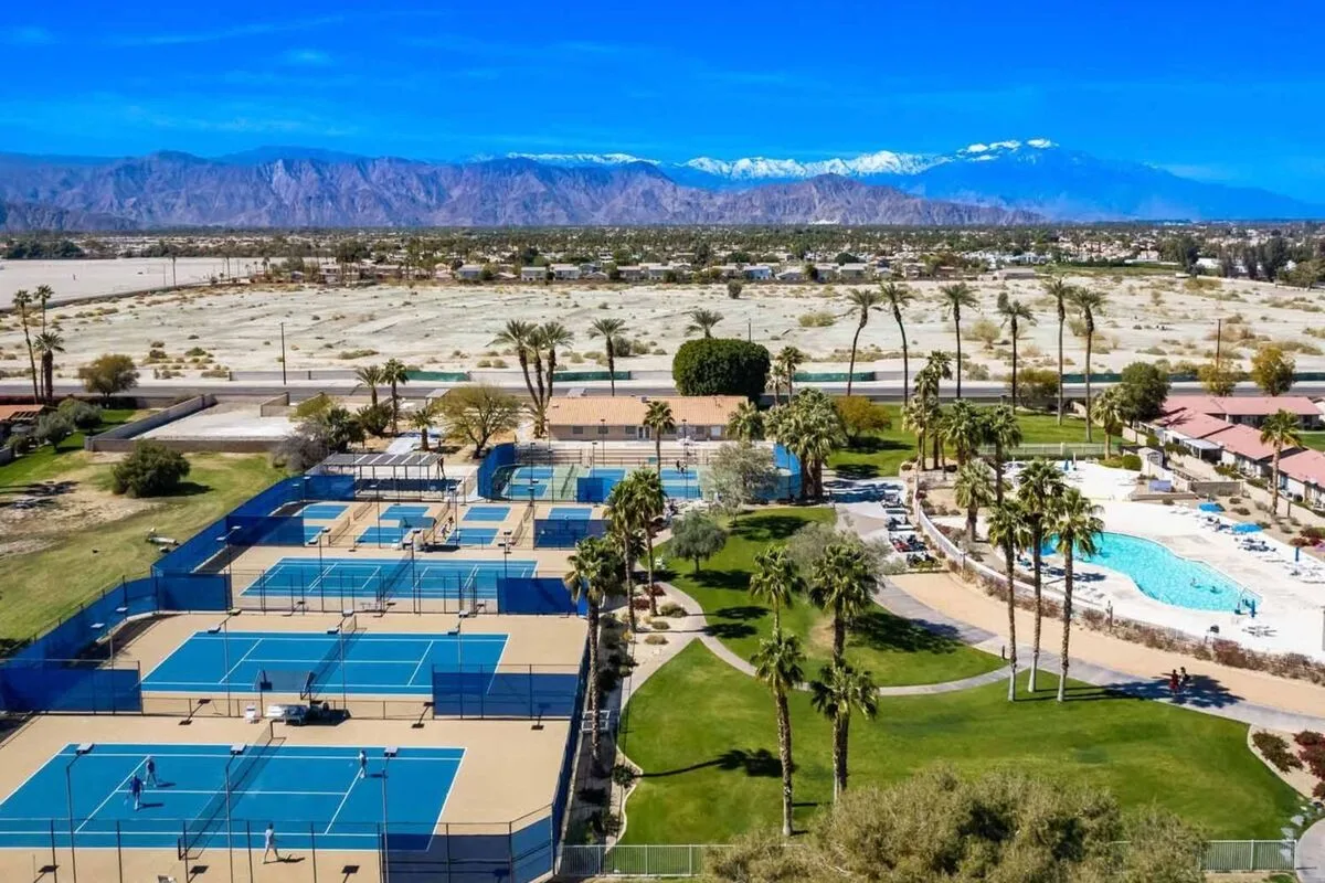 Palm Oasis