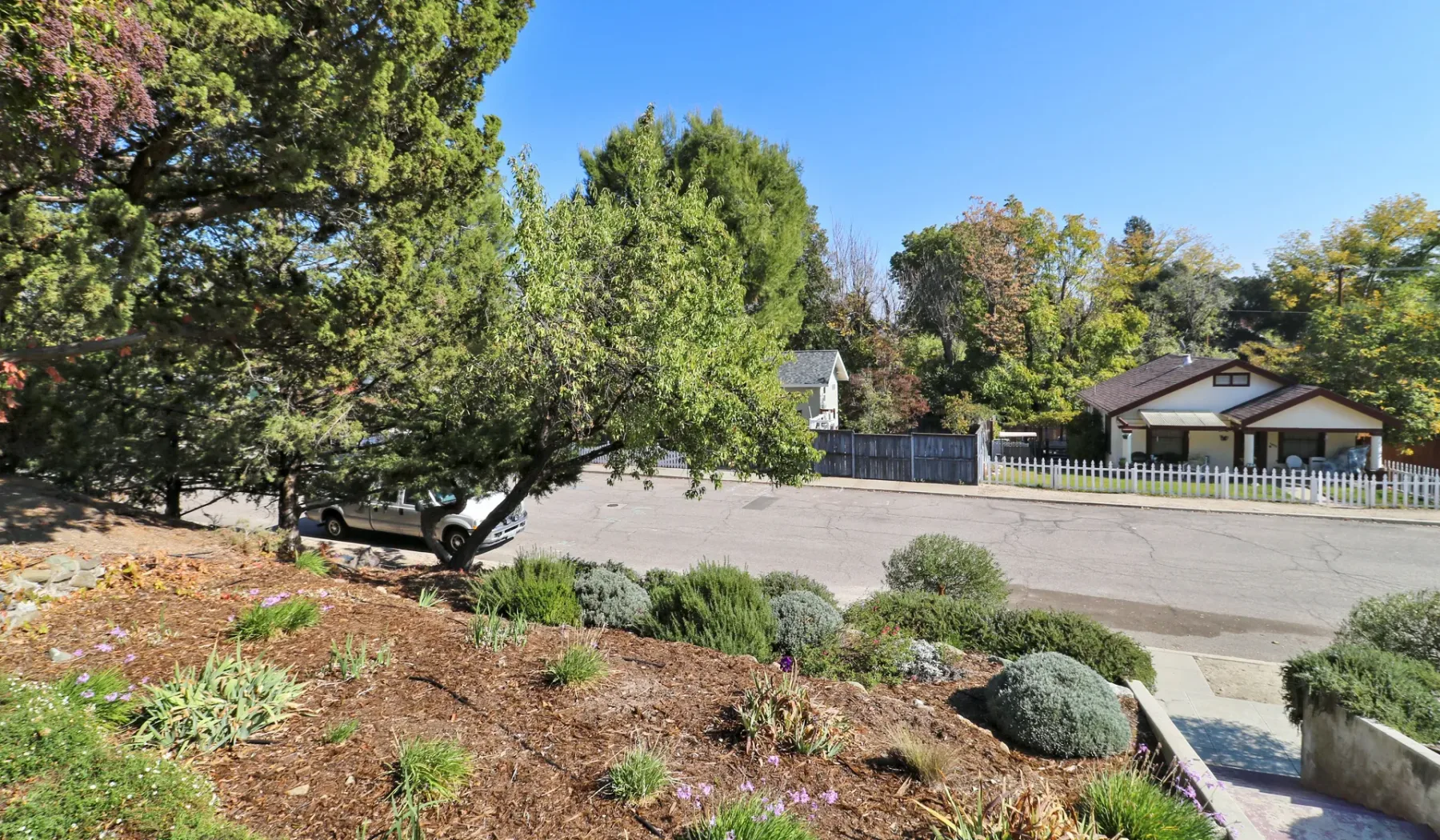 Un jardín ajardinado da a una calle pavimentada y casas cercanas.
