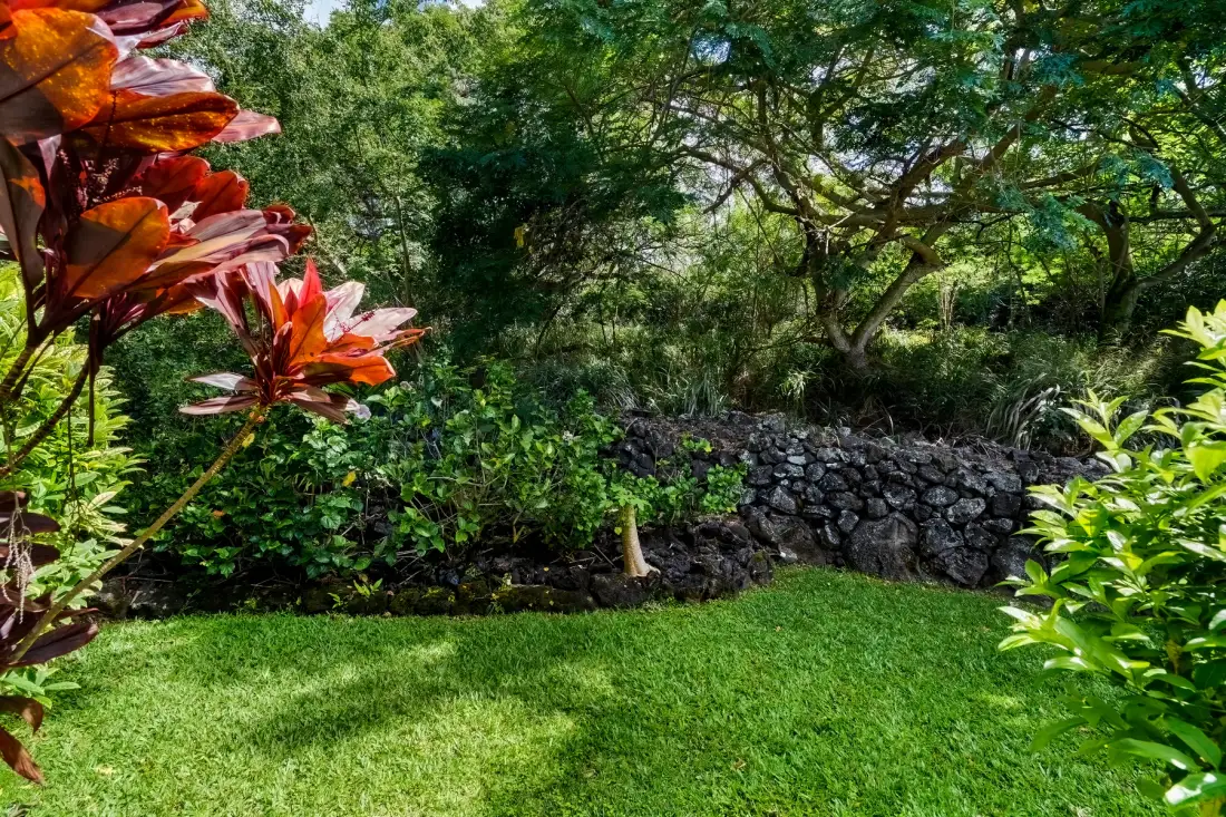 Un jardín verde con un muro bajo de piedra bajo árboles frondosos.