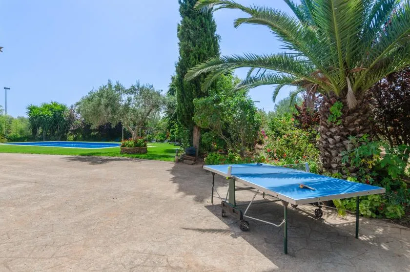 An outdoor recreation area has a blue table tennis table beside a garden.