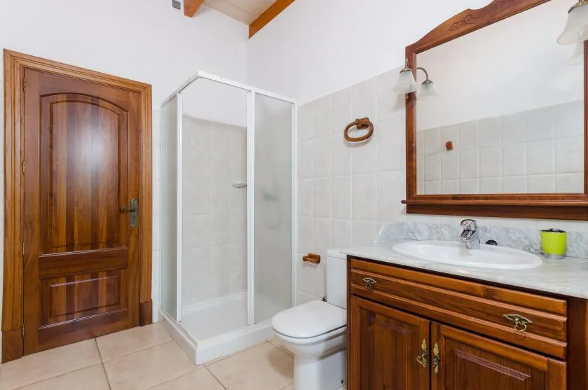 A bathroom with a shower, toilet, and wooden vanity.