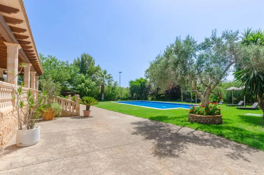 A landscaped garden with a swimming pool beside a paved patio.
