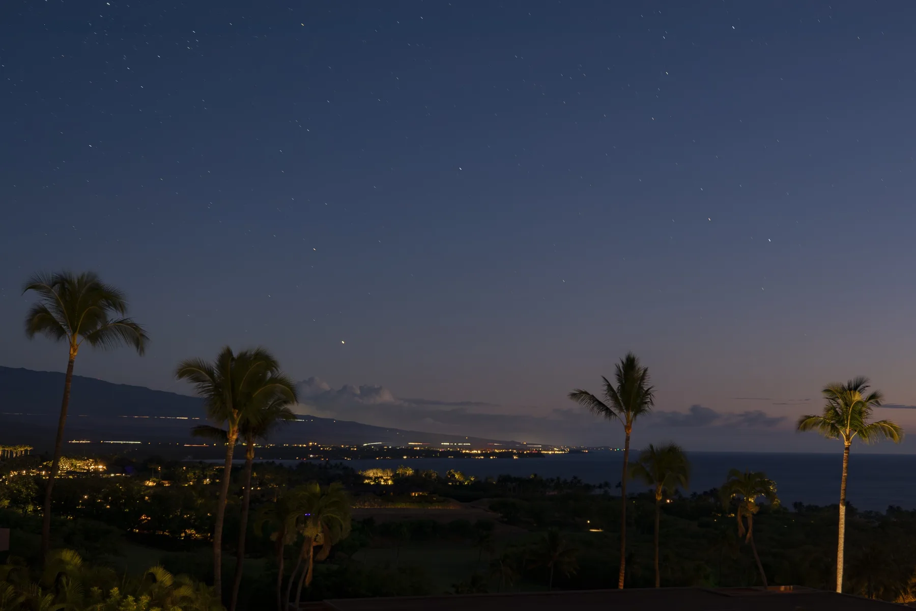 Palm trees frame a nighttime landscape with distant lights beneath a starry sky.