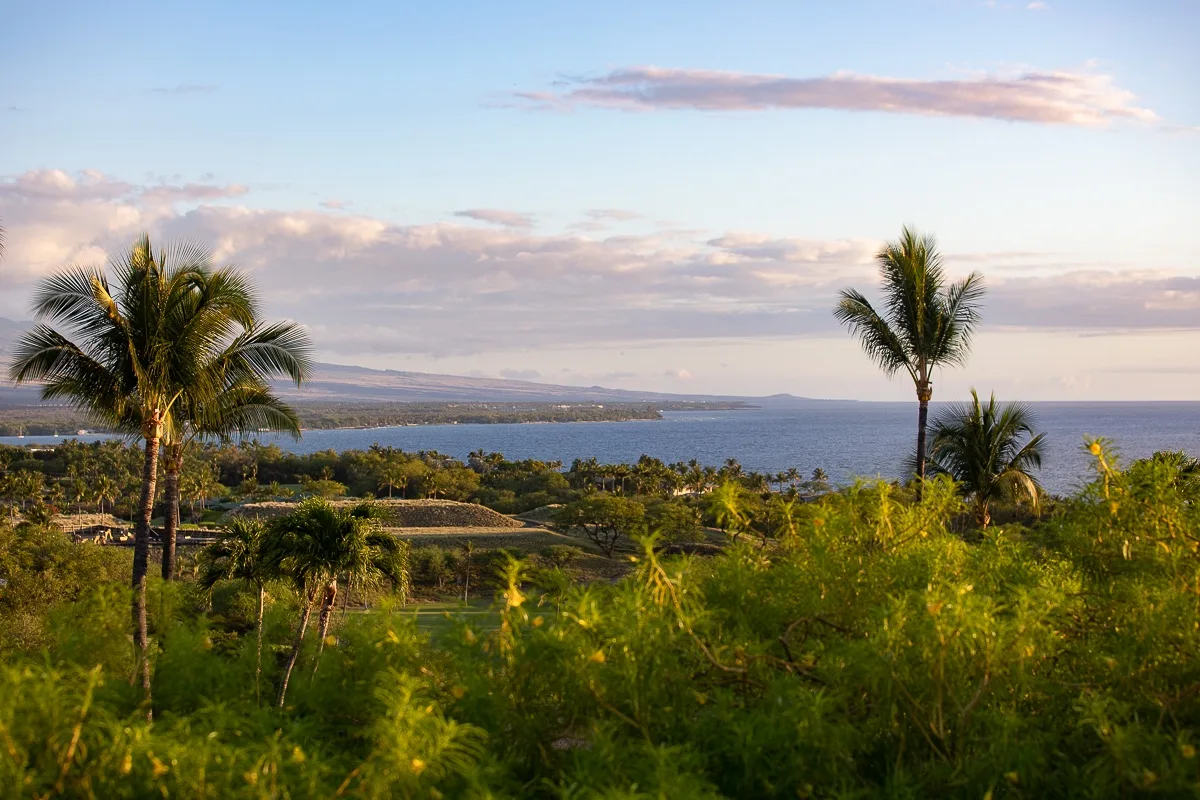 A coastal landscape with palm trees, green vegetation, and water beneath a cloudy sky.