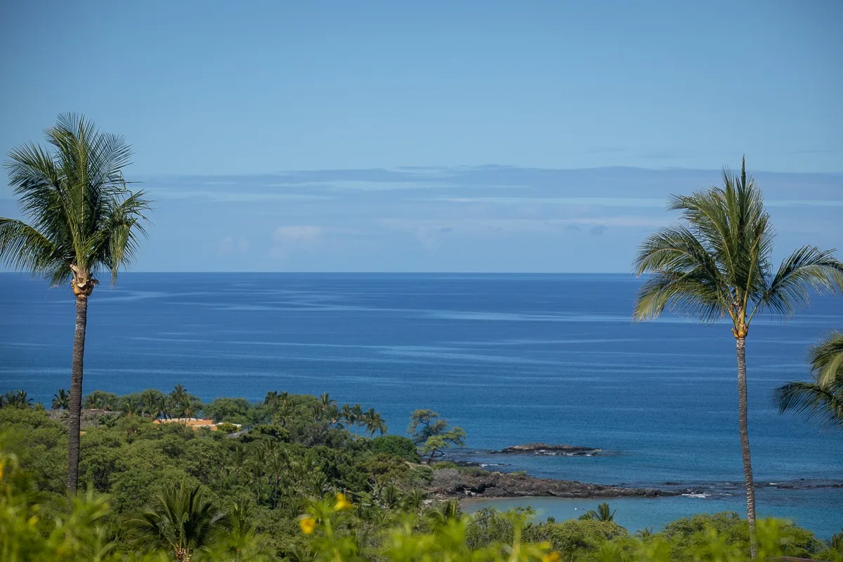 A coastal landscape with palm trees, green vegetation, and the ocean.