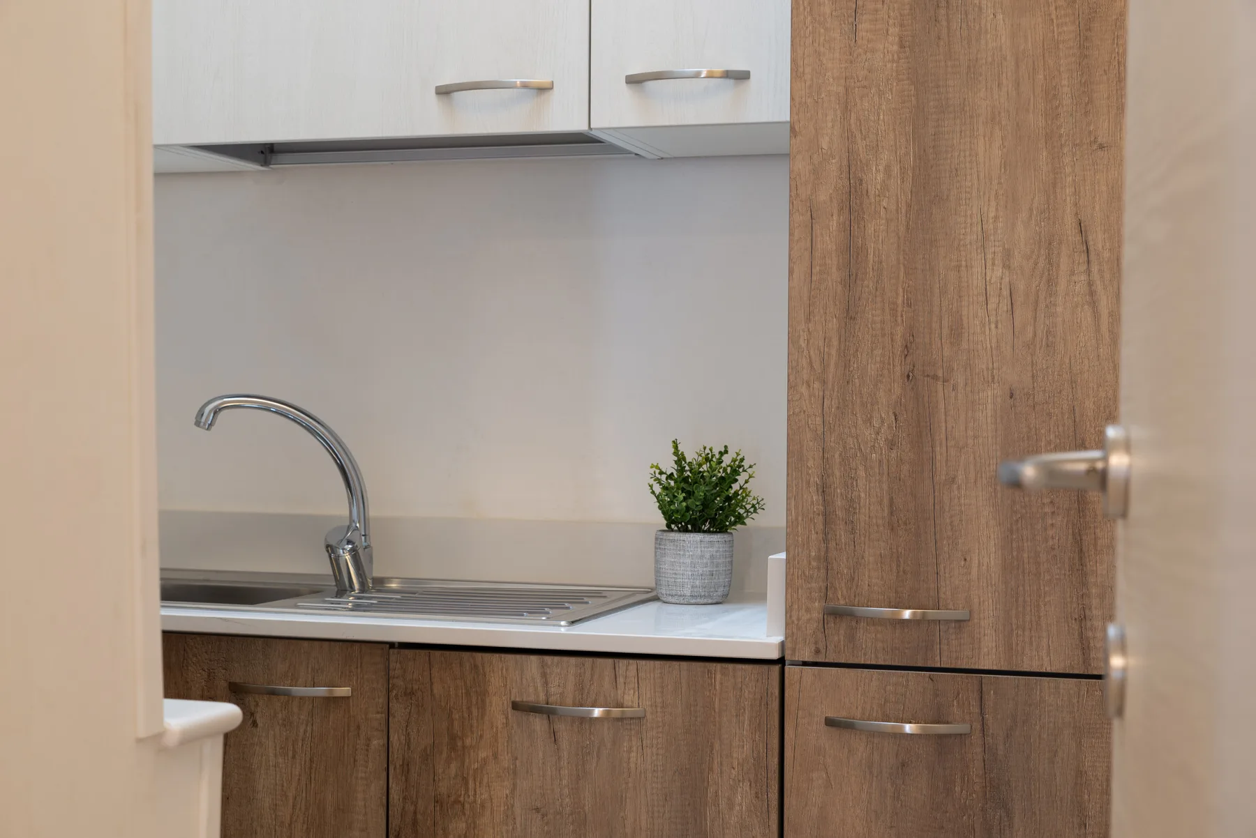 A compact kitchen with a stainless-steel sink, wood cabinets, and a small potted plant.