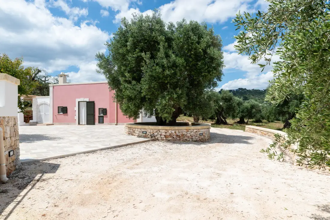 A pink building and paved courtyard sit beside a large tree.