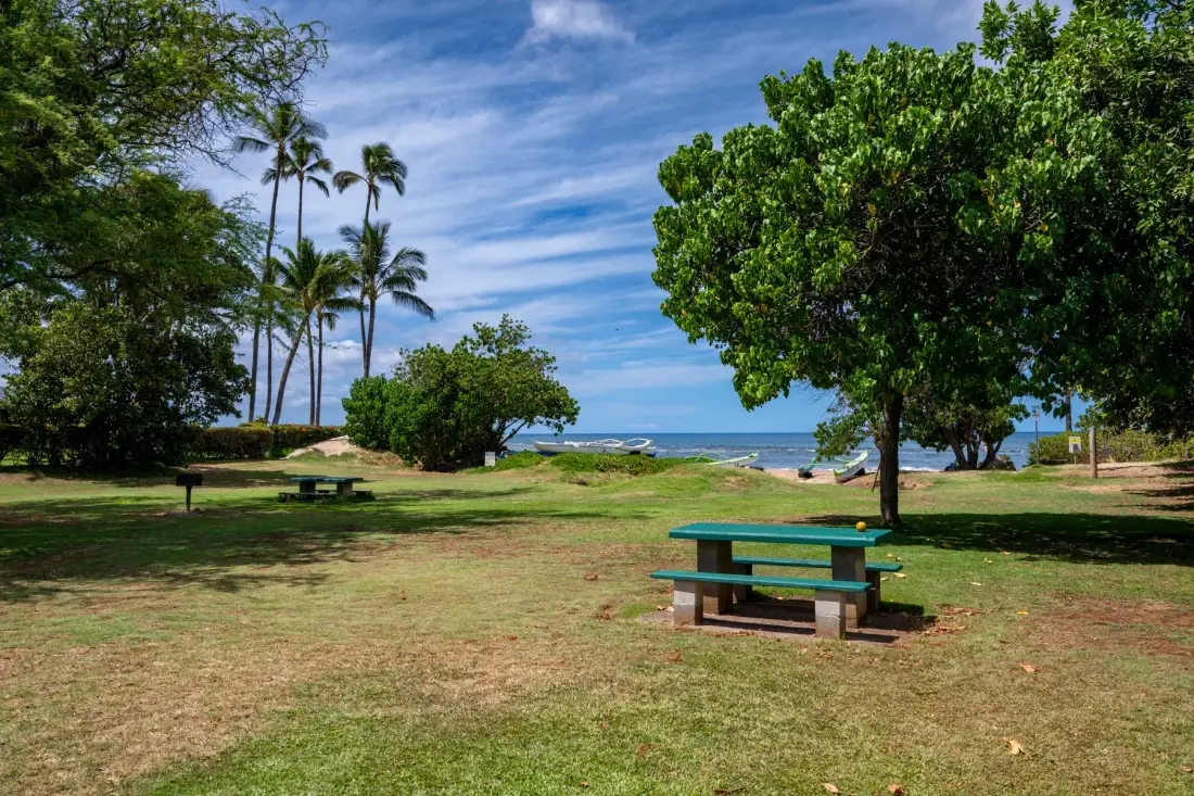 Un parque costero con césped y una mesa de picnic bajo un árbol frondoso.