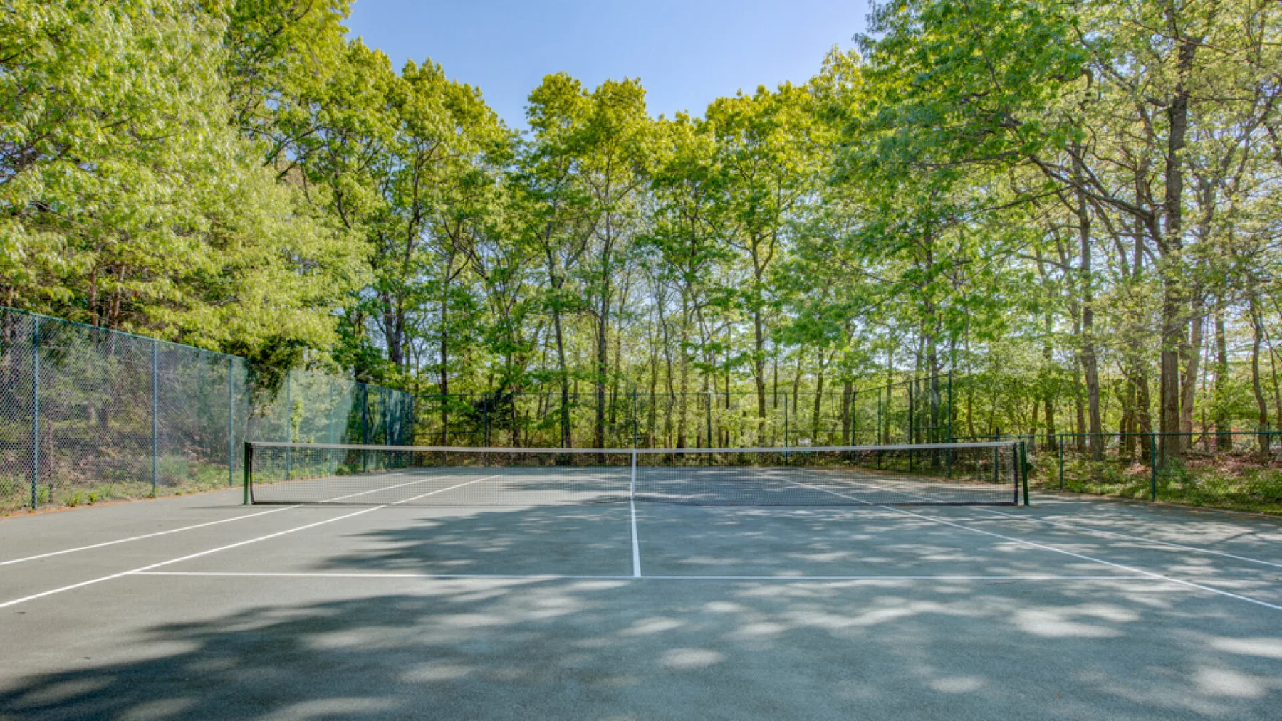 An outdoor tennis court is surrounded by trees and fencing.