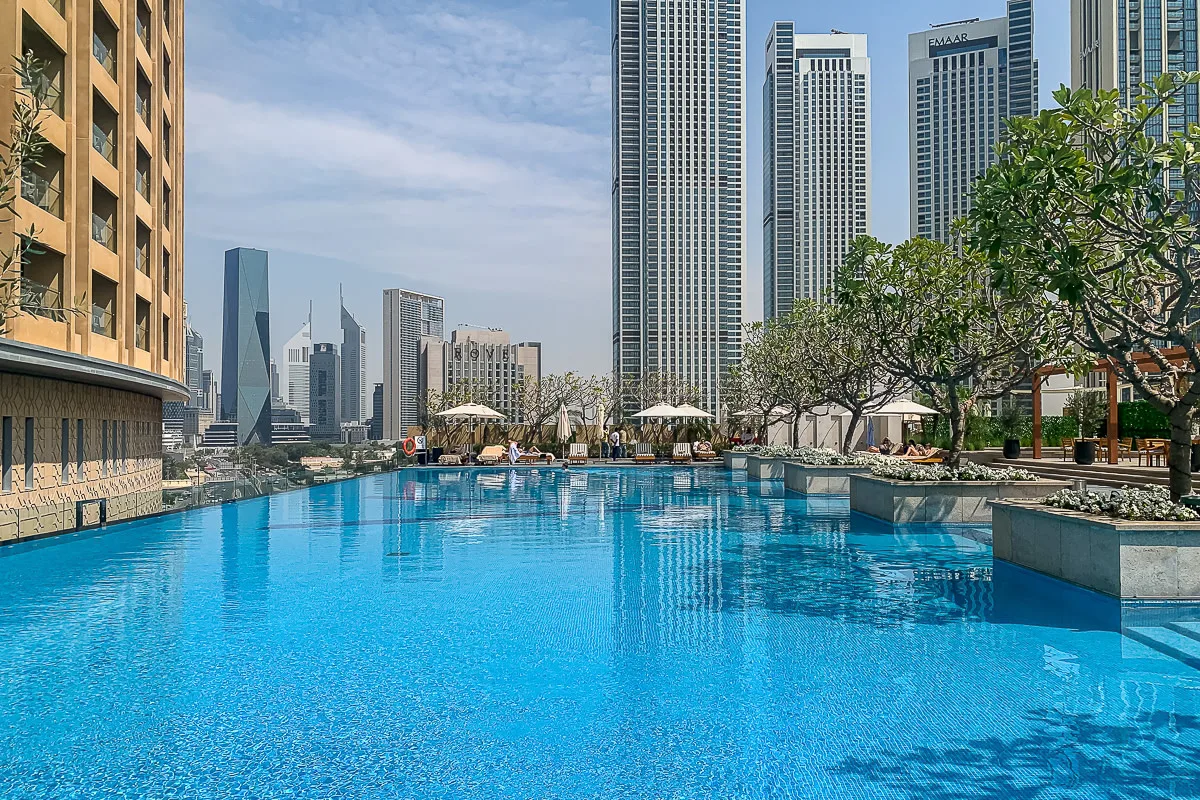 Una piscina en la azotea mira hacia el horizonte urbano, con árboles y asientos a la sombra.