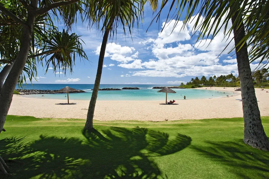 Una playa tropical con palmeras, arena y agua turquesa clara.