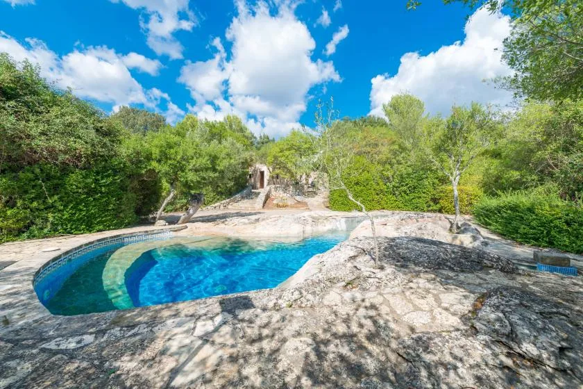 Una piscina azul está rodeada de superficies rocosas y árboles verdes.