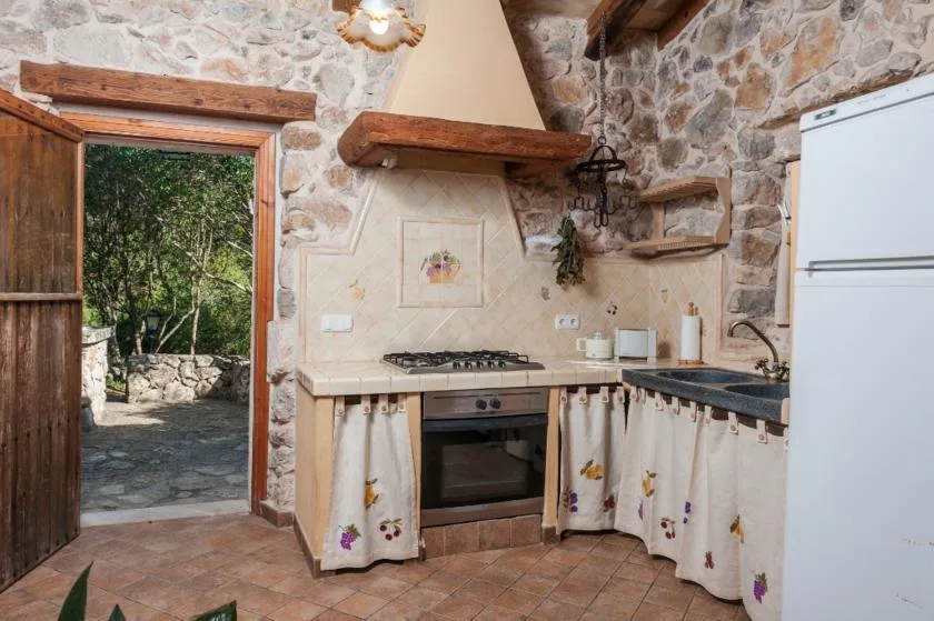 Una cocina rústica con una placa de cocina, horno y paredes de piedra.