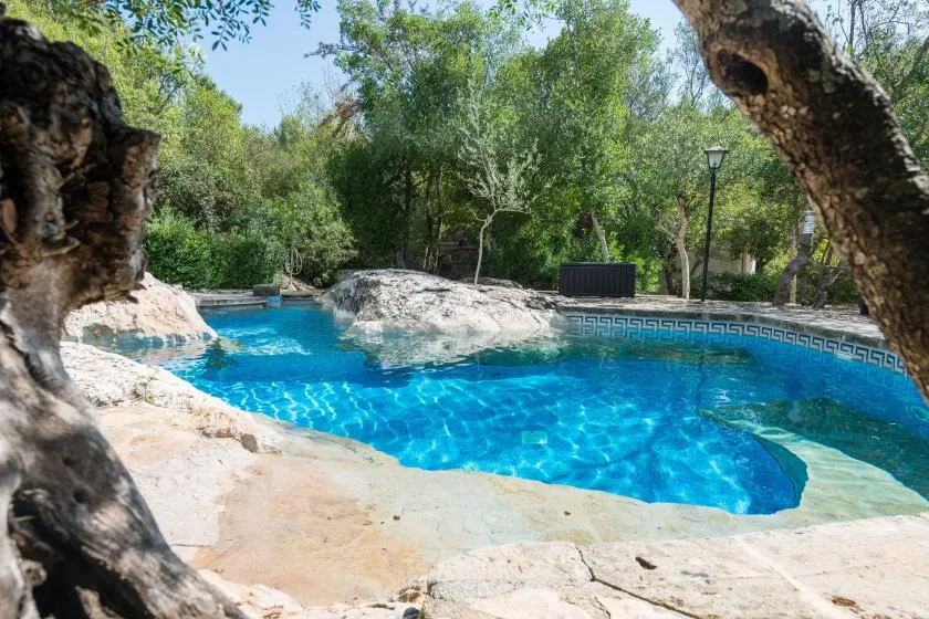 Una piscina está rodeada de árboles y formaciones rocosas de aspecto natural.