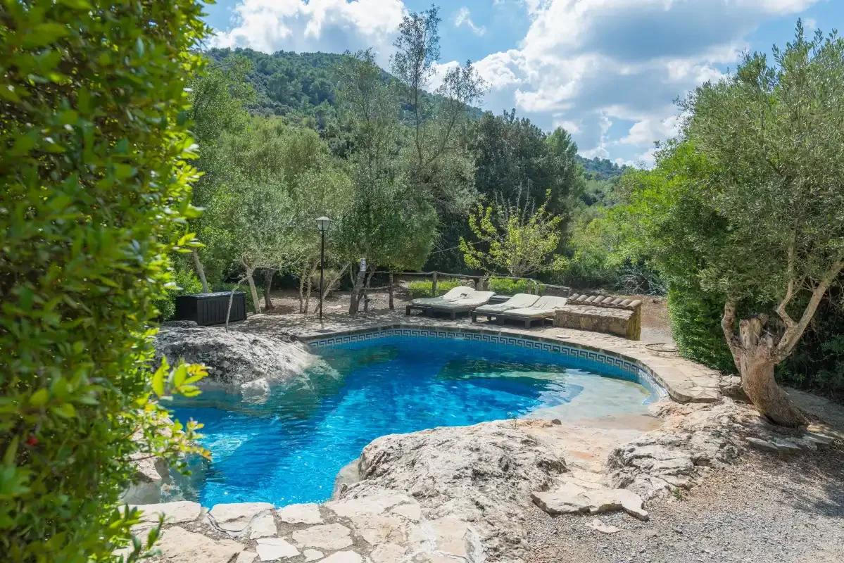 Una piscina rodeada de árboles y pavimento de piedra.