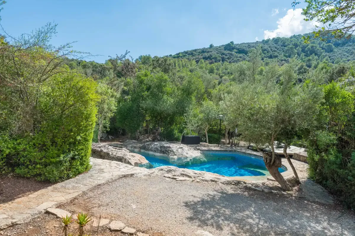 Una piscina al aire libre está rodeada de árboles, con una ladera boscosa al fondo.