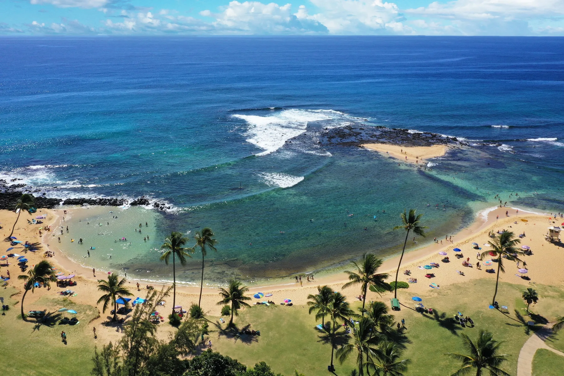 Aerial view of a sandy beach with palm trees and turquoise ocean water.