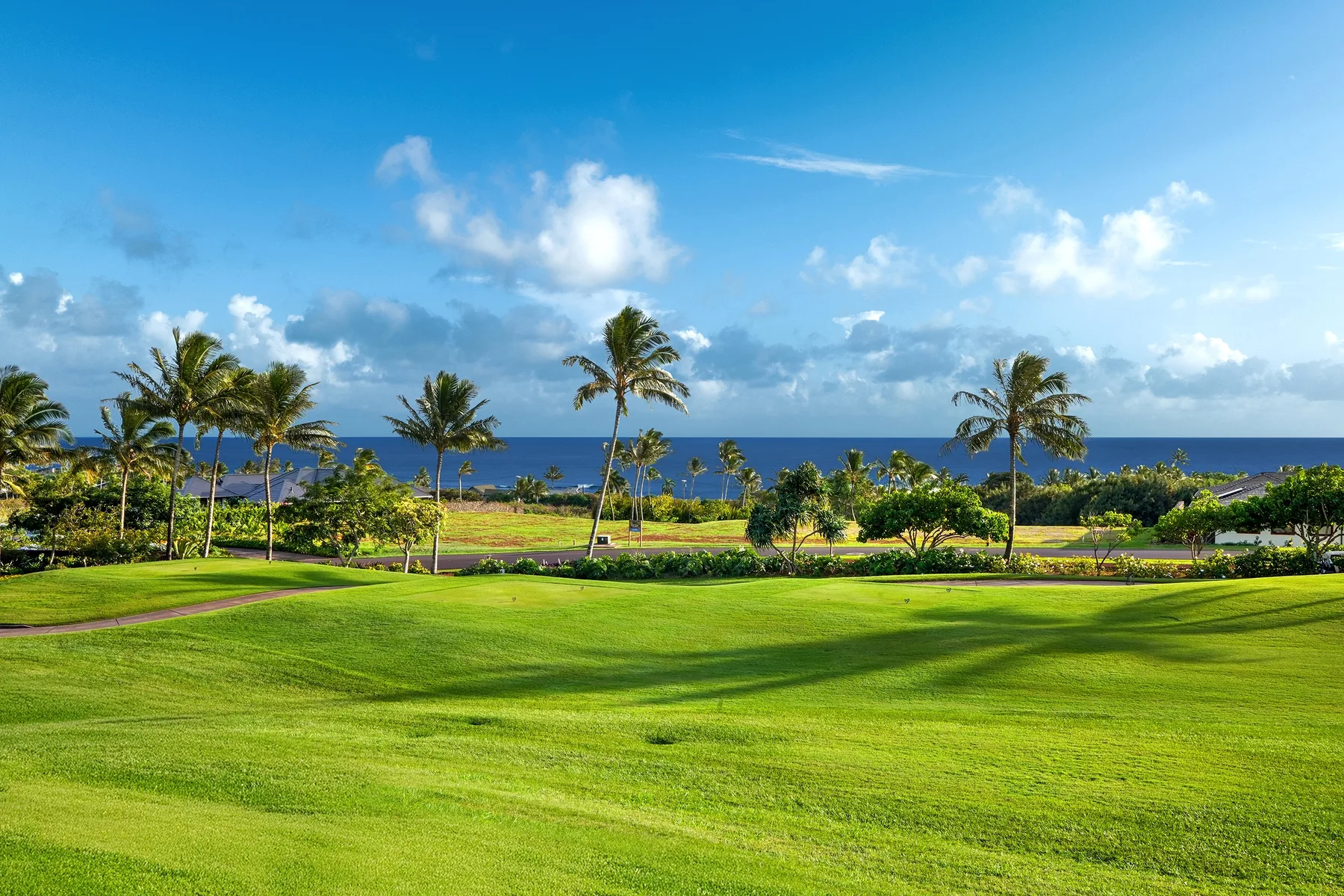 A green coastal lawn with palm trees and the ocean in the distance.