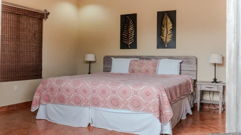 King Standard room with king bed
