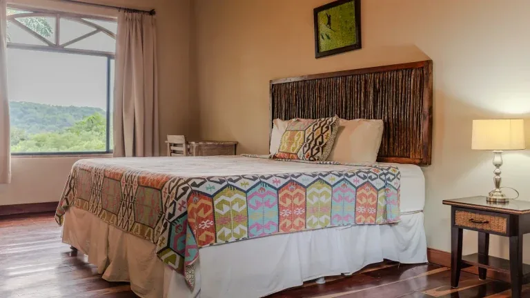 King Deluxe with Garden View room