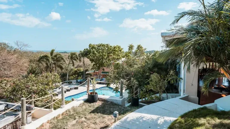 View from a King Standard Pool View room