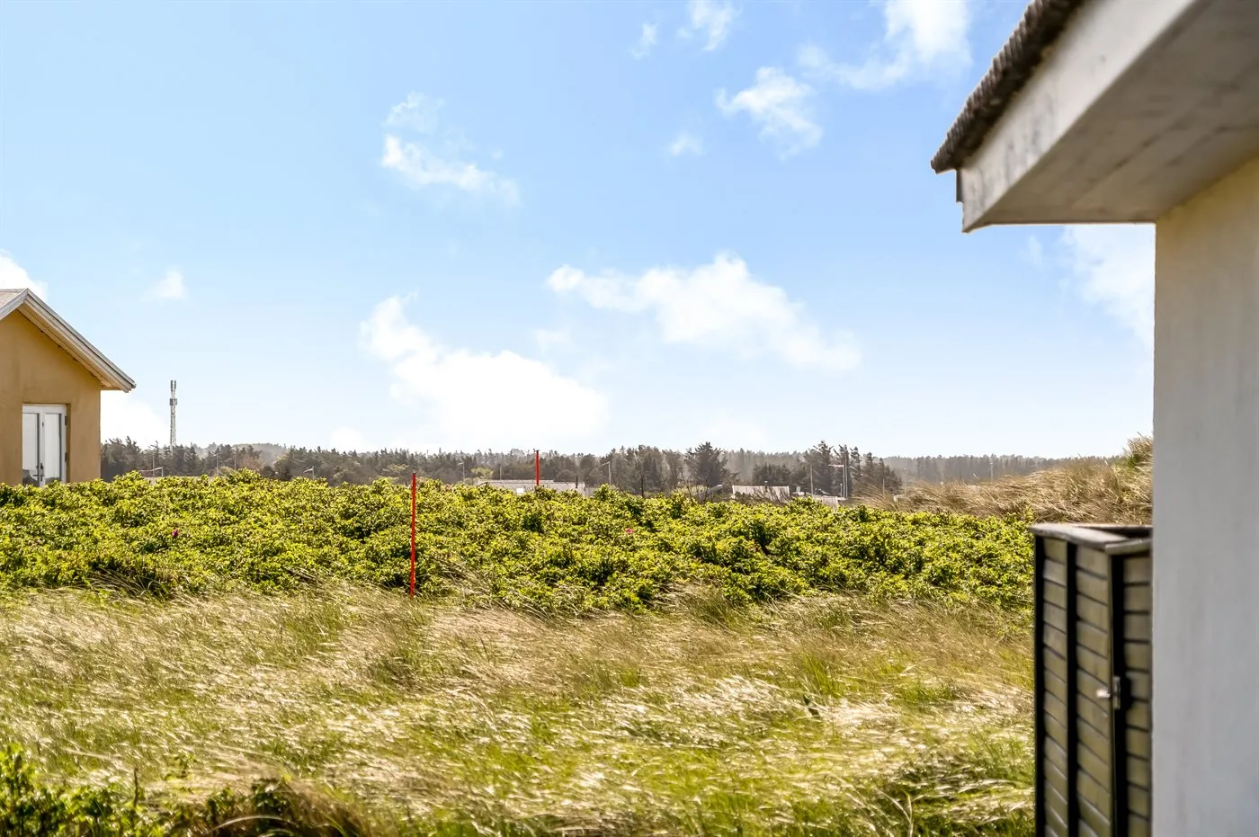 Un campo de hierba y arbustos bajos se extiende hacia el horizonte entre edificios cercanos.