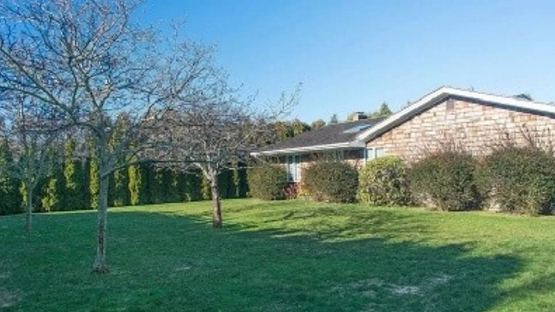 Un patio con césped, árboles y arbustos junto a una casa de una planta.