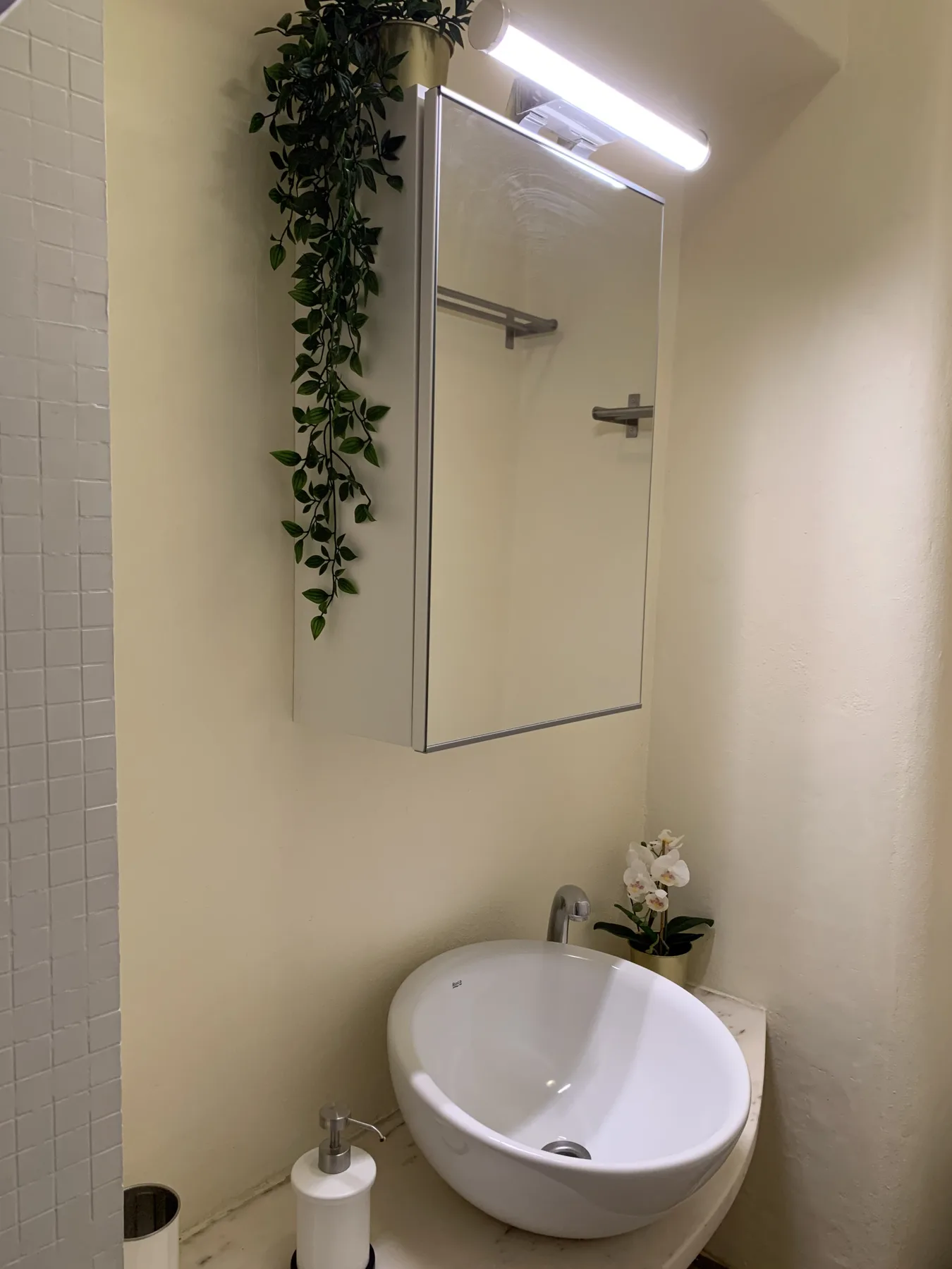 A bathroom sink sits beneath a wall mirror, with a trailing plant nearby.