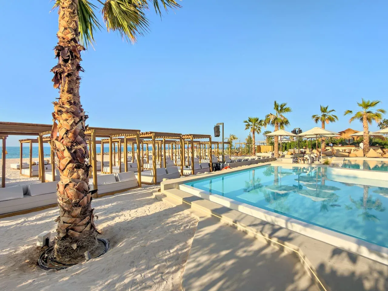 Una piscina está junto a una terraza costera bordeada de palmeras, bajo un cielo despejado.