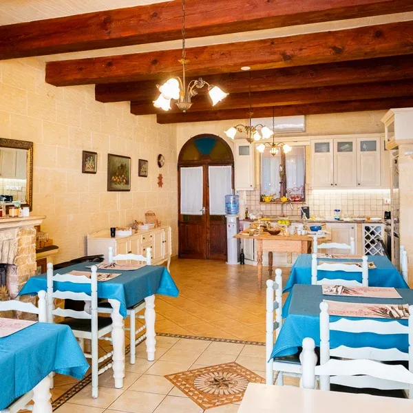 Narcisa B&B