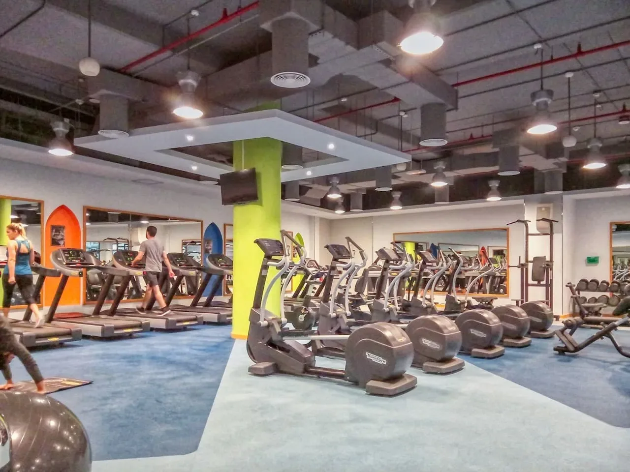 A gym with rows of exercise machines and free weights.