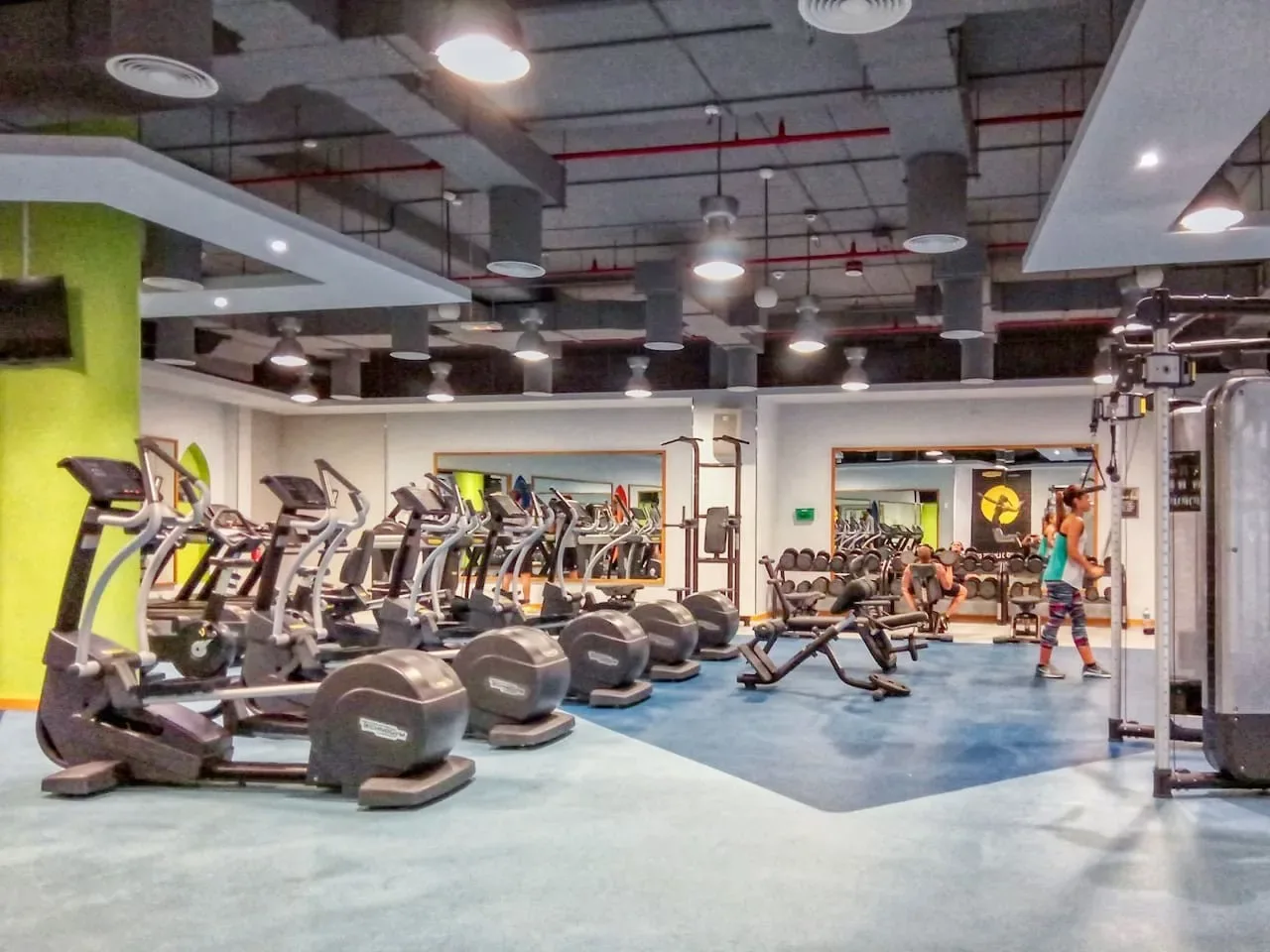A gym with rows of exercise machines and people working out.
