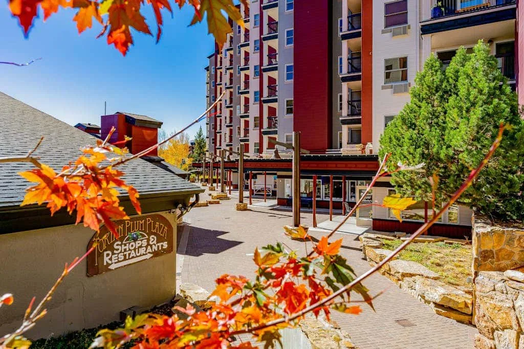 A pedestrian plaza beside a multistory building, with colorful autumn leaves in the foreground.