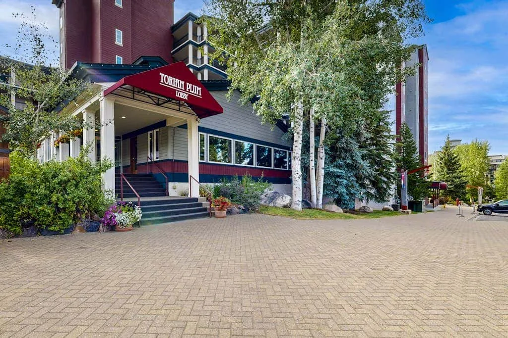 A hotel entrance with a covered doorway, trees, and a paved forecourt.