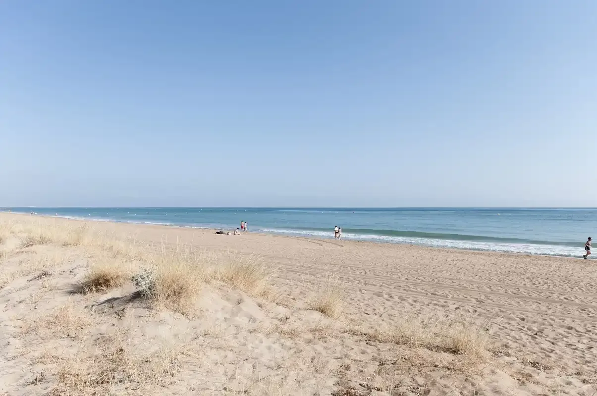 A sandy beach with sparse dune grass stretches beside calm blue water.