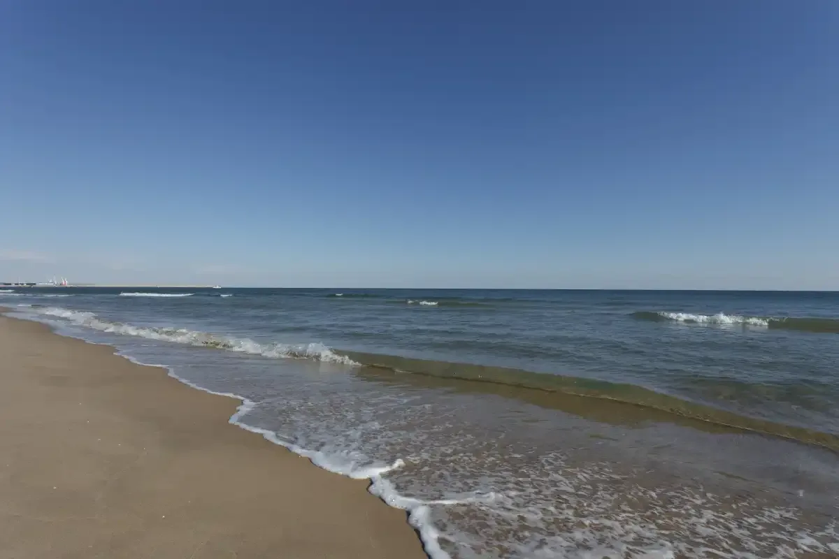 A sandy beach meets gentle waves beneath a clear blue sky.