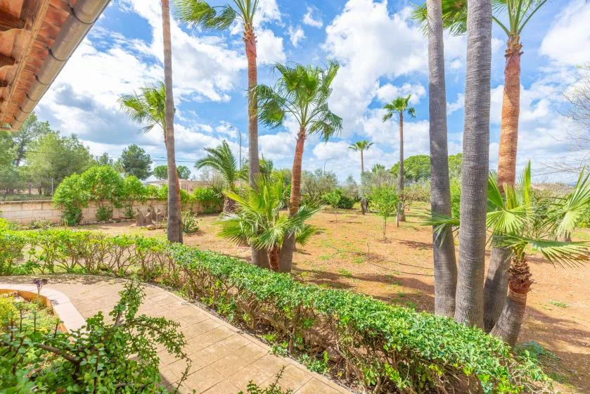 A landscaped garden with palm trees and a paved walkway.