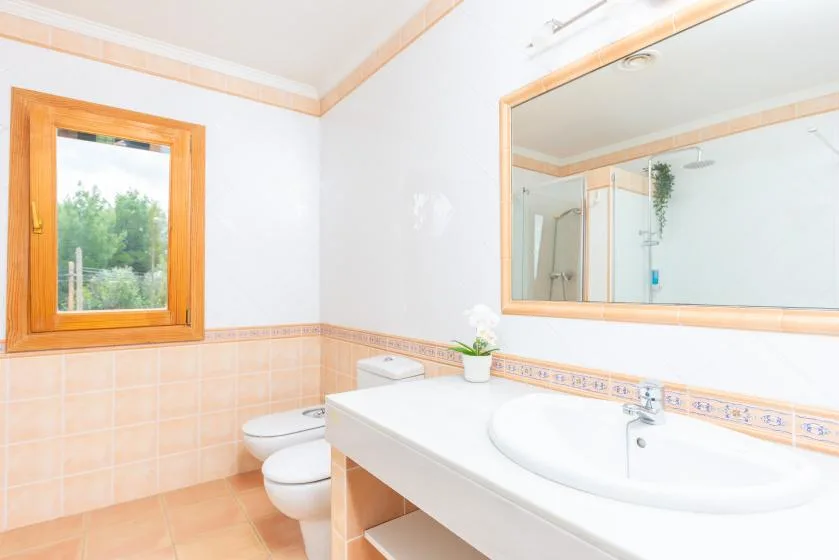 A bathroom with a sink vanity, toilet, and window.