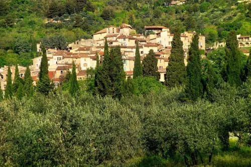 Foto del hotel