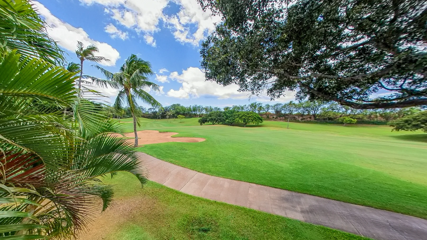 Un campo de golf verde se extiende bajo la amplia copa de un árbol.