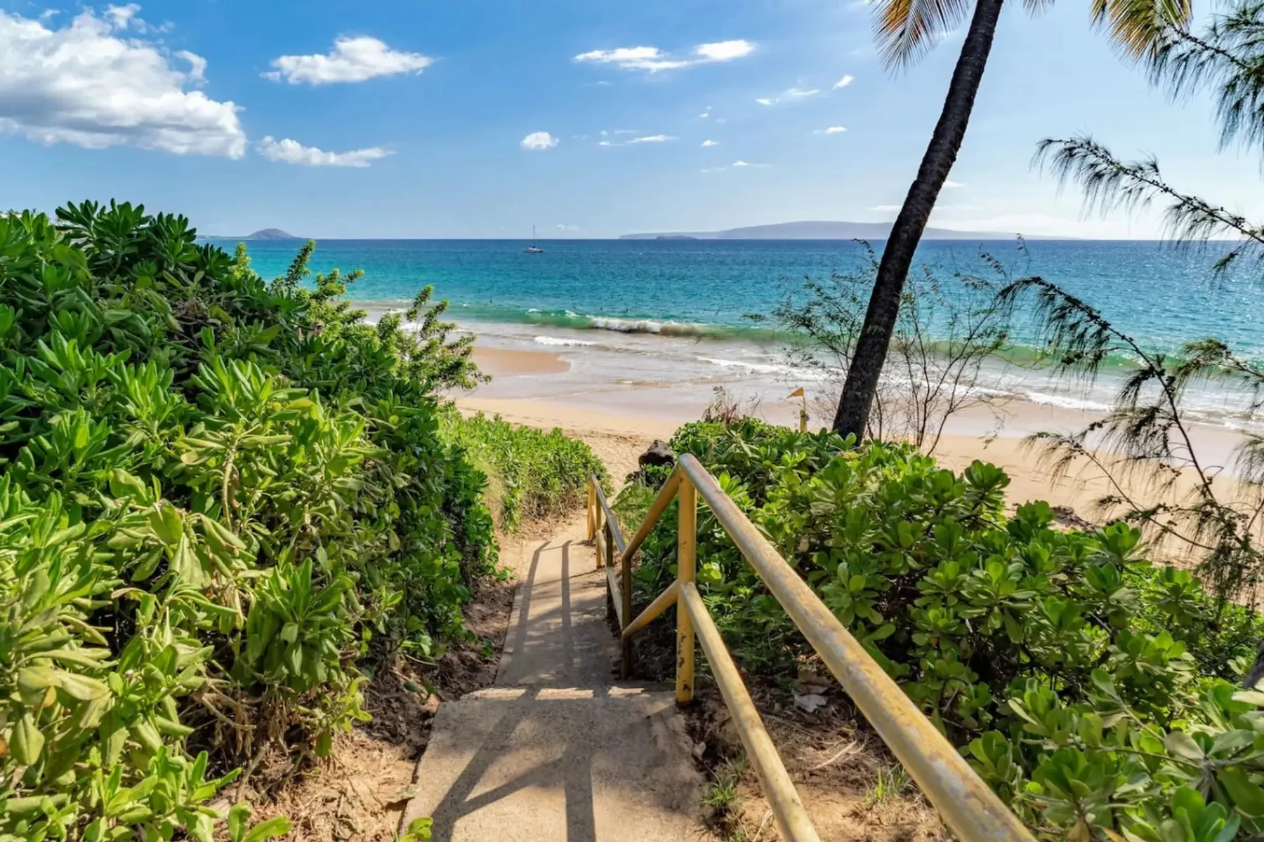 Un sendero entre vegetación tropical conduce a una playa de arena y al mar.