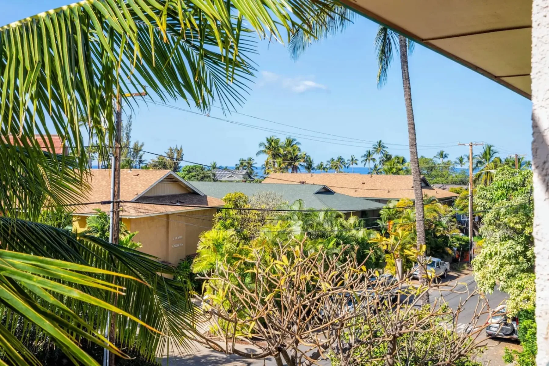 Una calle residencial tropical está enmarcada por hojas de palmera y árboles frondosos.