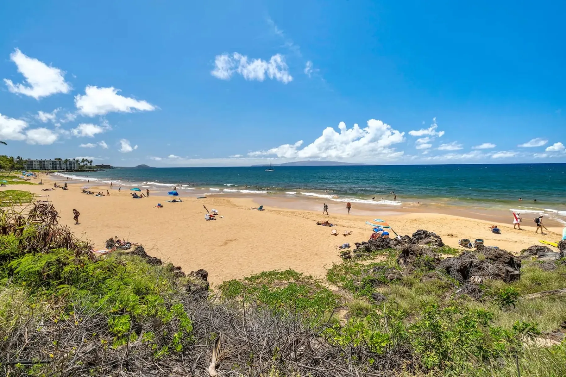 Una playa de arena se extiende junto al océano bajo un cielo azul despejado.