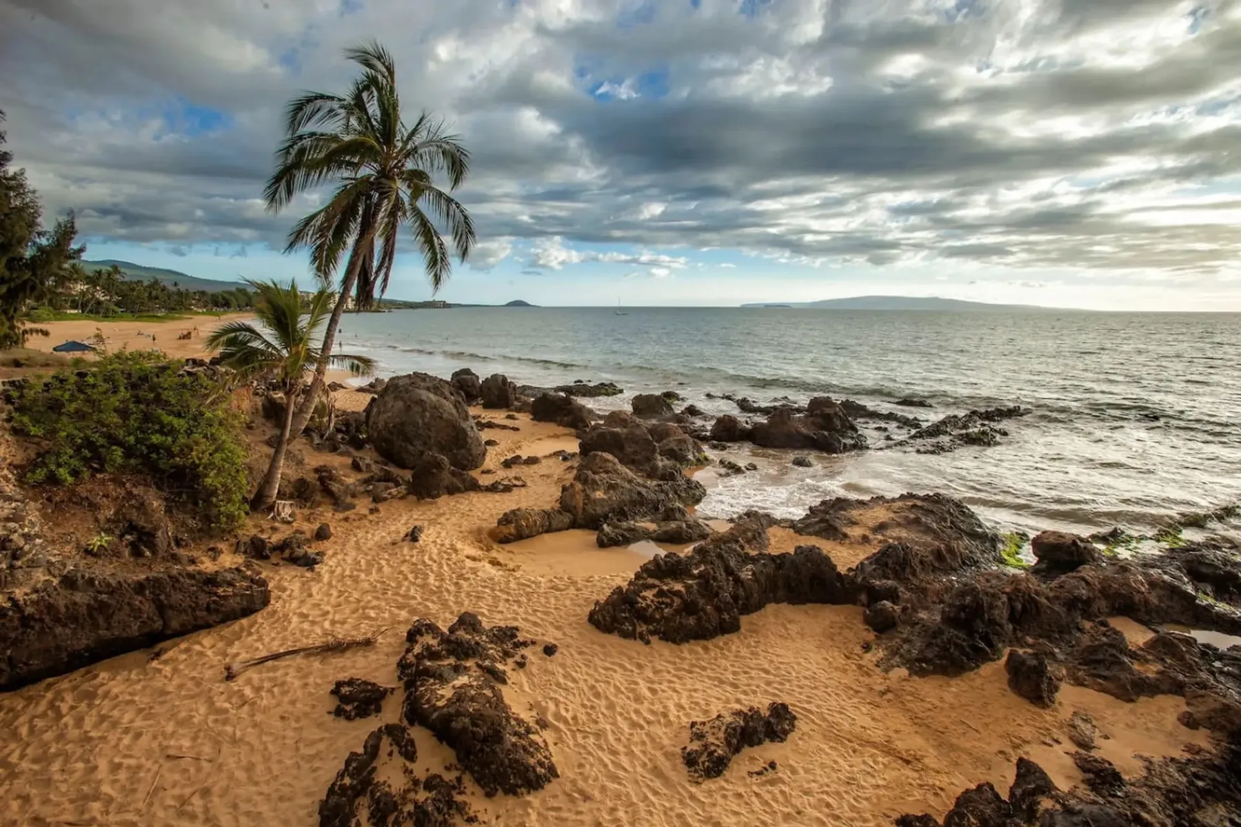 Una playa rocosa con orilla arenosa, olas del mar y una palmera.