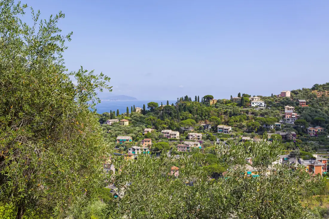 A hillside neighborhood with scattered buildings, greenery, and a distant sea view.