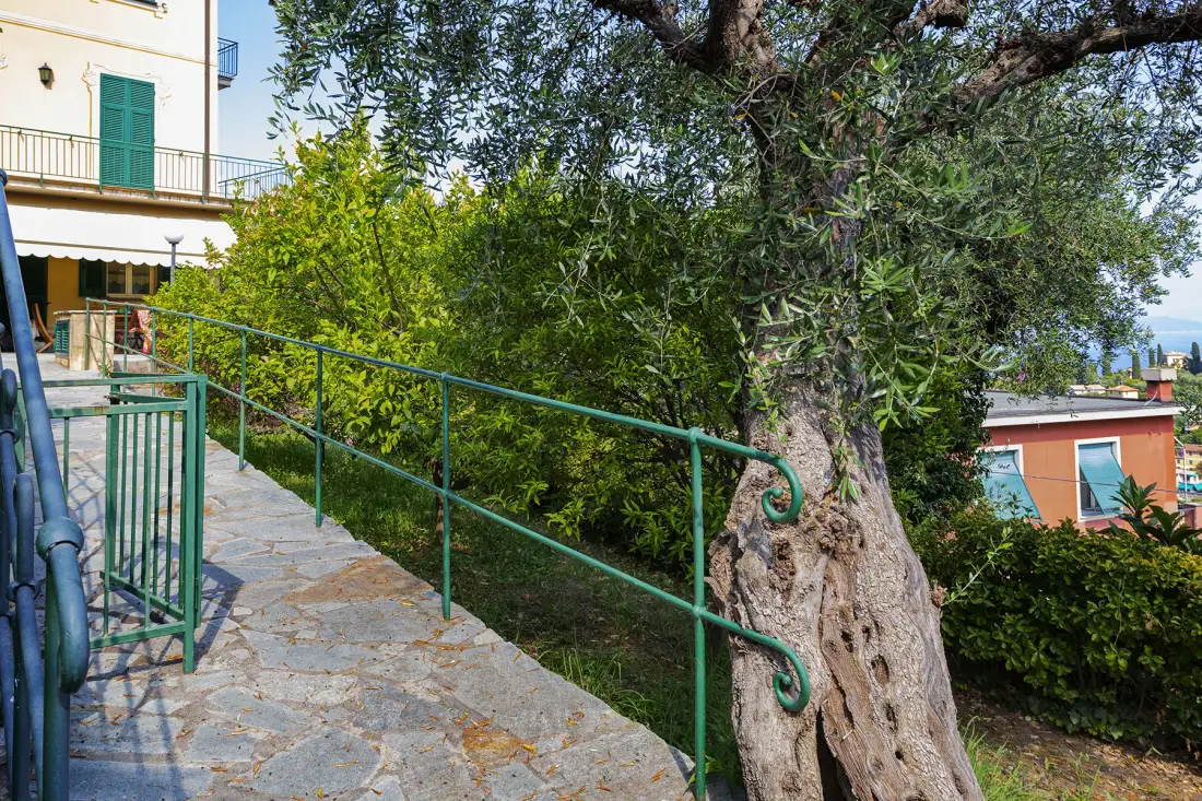 A stone walkway with green railings runs beside a large tree and garden.