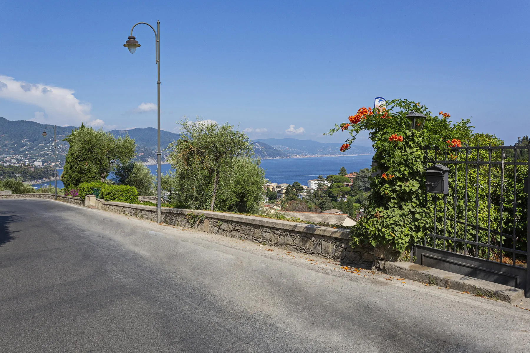 A paved roadside overlooks the bay, with flowering greenery beside a metal fence.