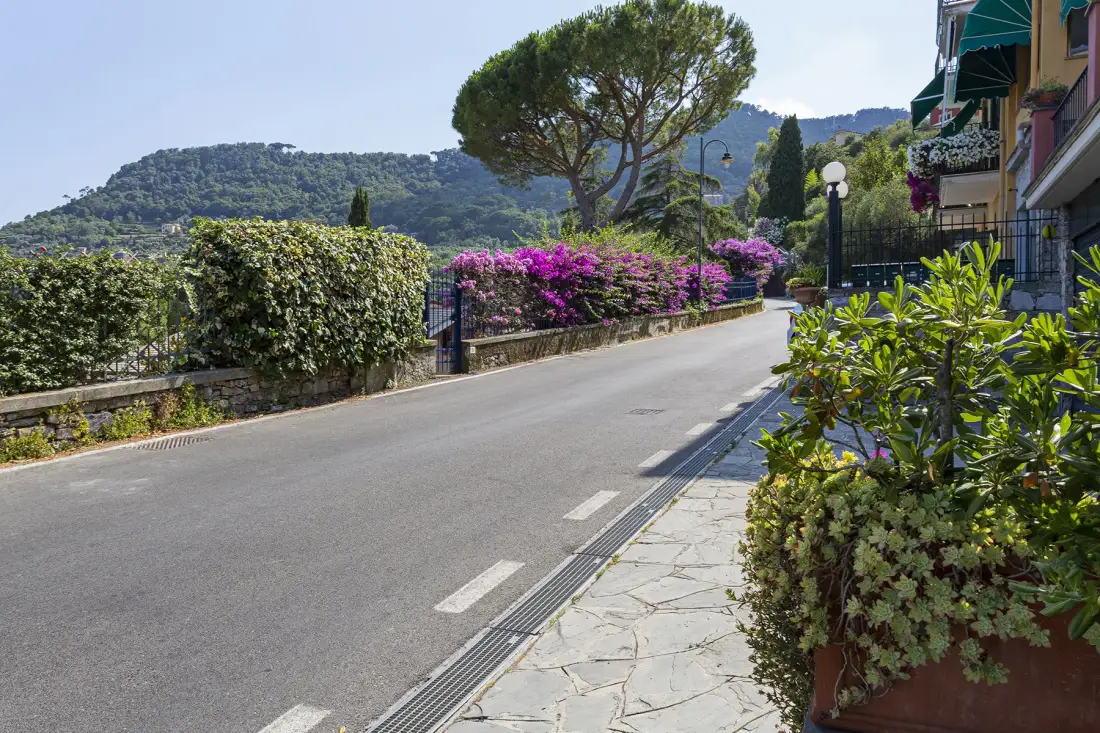 A paved road curves past flowering shrubs and a stone-paved sidewalk.