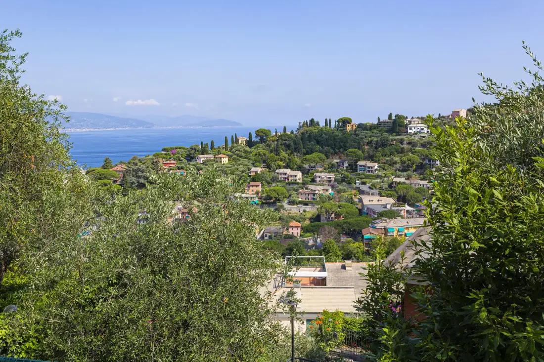 A hillside residential area with scattered homes, greenery, and a view of the sea.