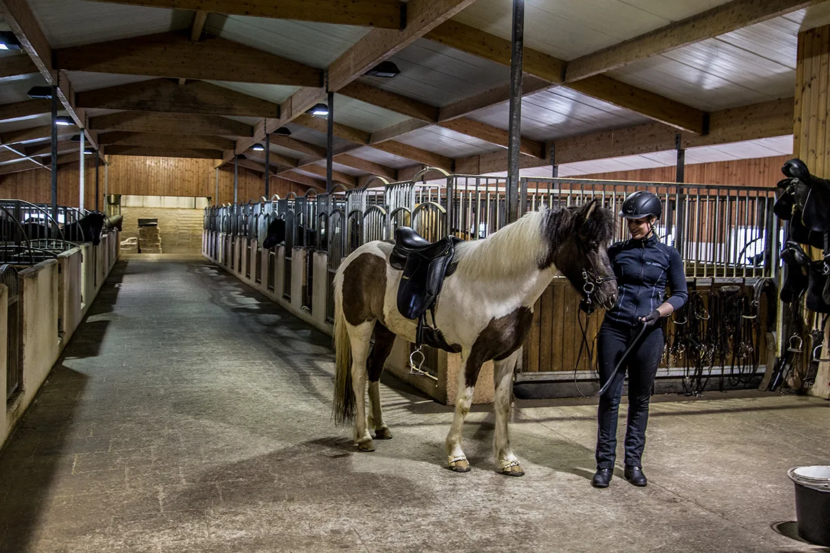 Farm stable